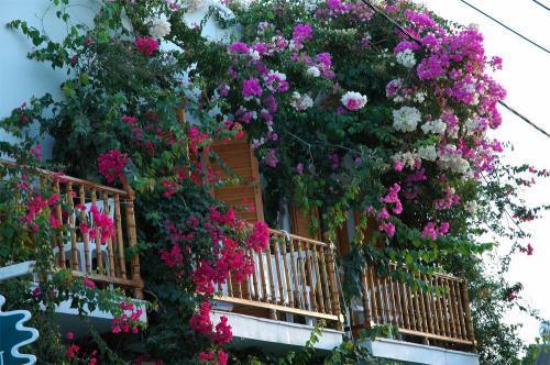 Arian Hotel Parikia  Luaran gambar